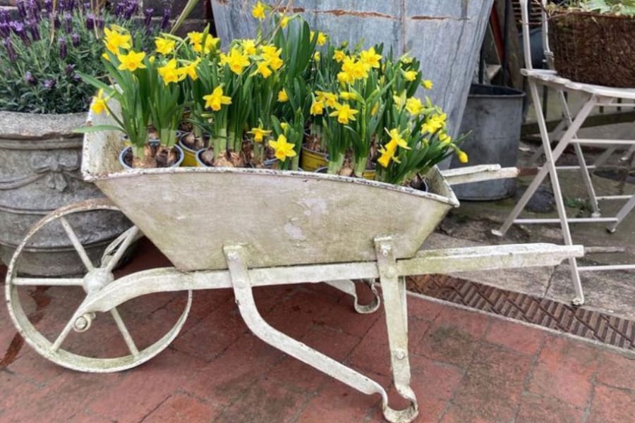 Decorarea curtii cu gradini mobile